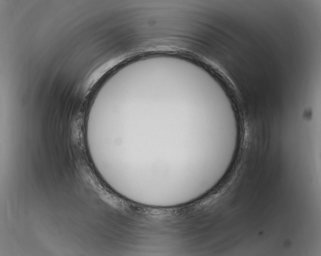 X0000116370874200912021007