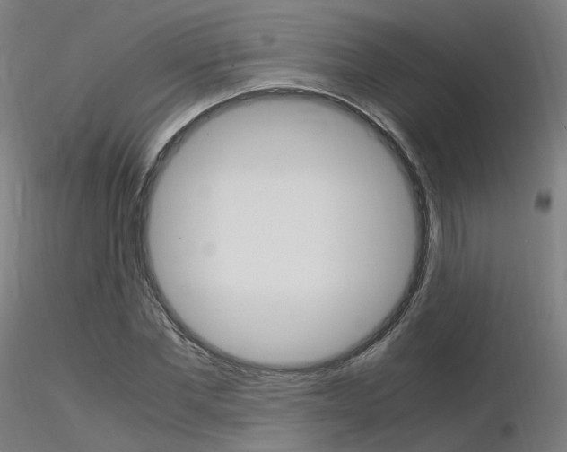 X0000116370877200912021007