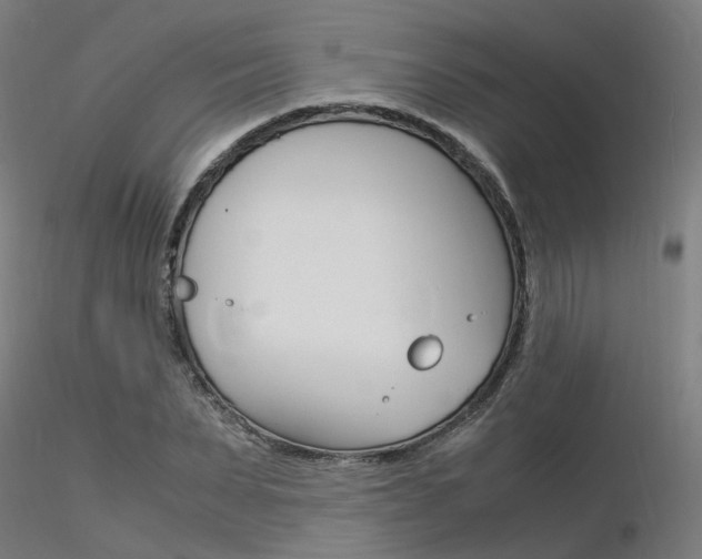 X0000116370879200912021007