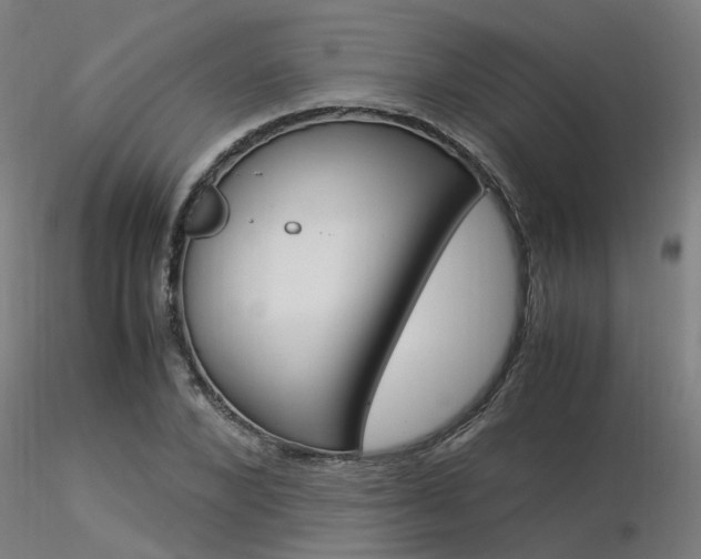 X0000116370880200912021007