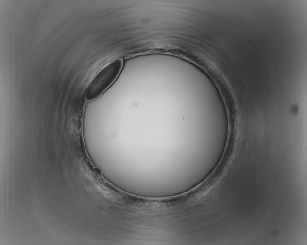 X0000116370881200912021007