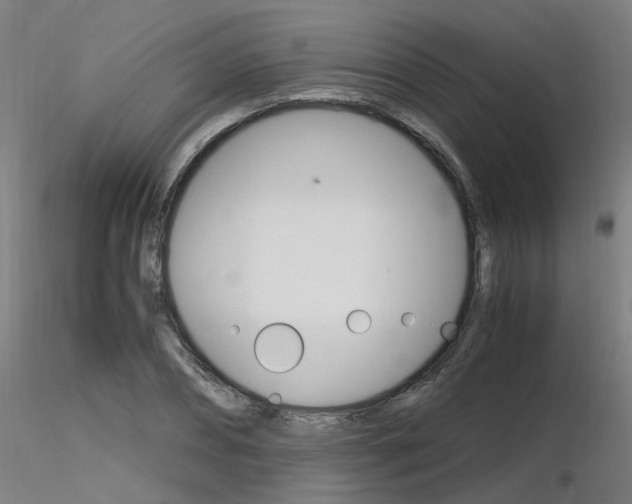 X0000116370882200912021007