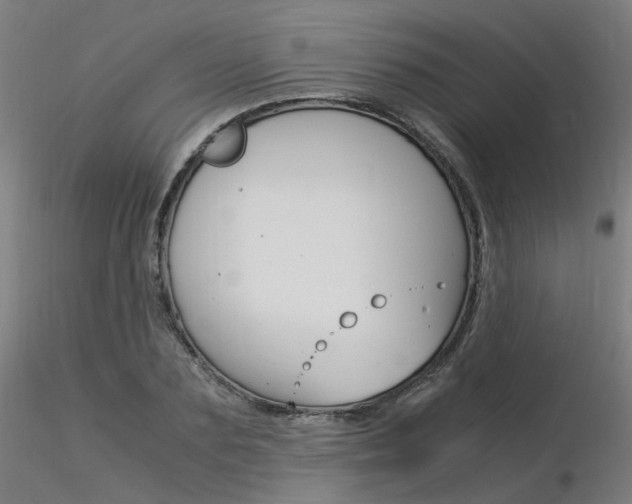 X0000116370883200912021007