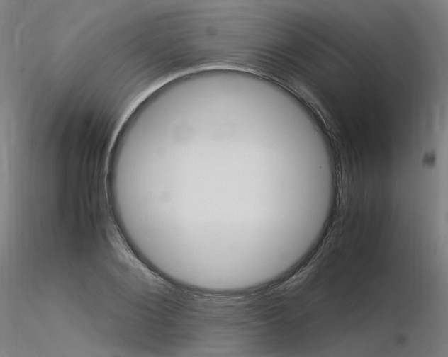 X0000116370884200912021007