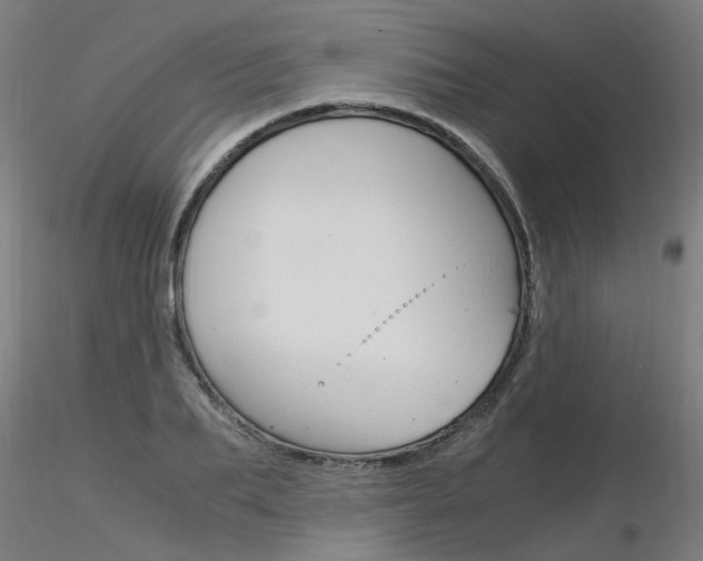 X0000116370887200912021007