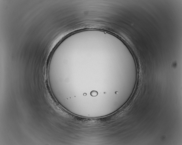 X0000116370891200912021007