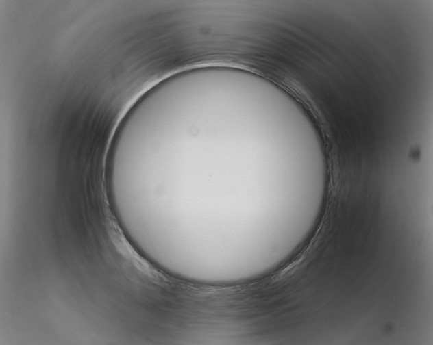 X0000116370892200912021007