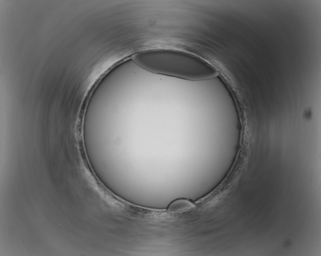 X0000116370893200912021007