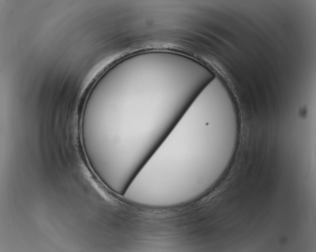 X0000116370894200912021007