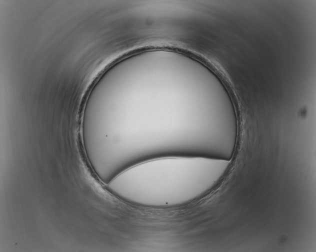X0000116370895200912021007