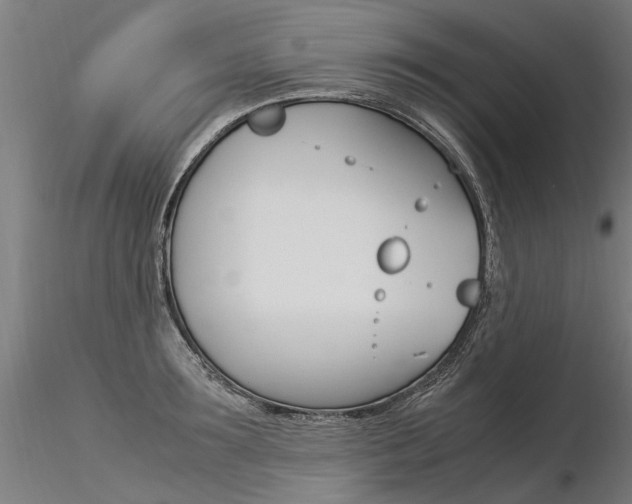 X0000116370899200912021007