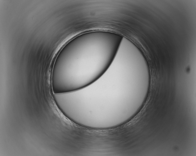 X0000116370900200912021007