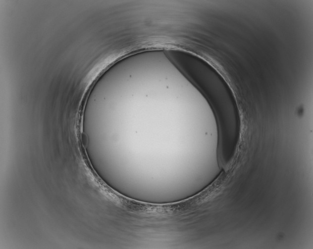 X0000116370901200912021007