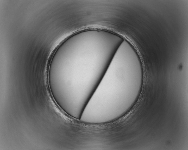 X0000116370902200912021007