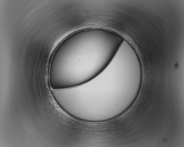 X0000116370904200912021007