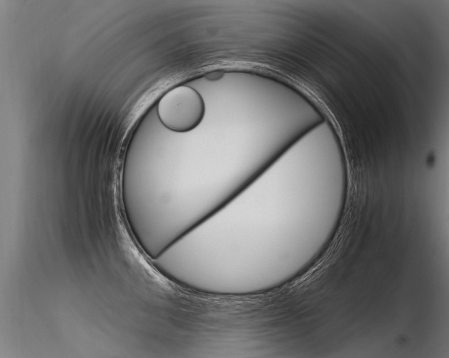 X0000116370906200912021007