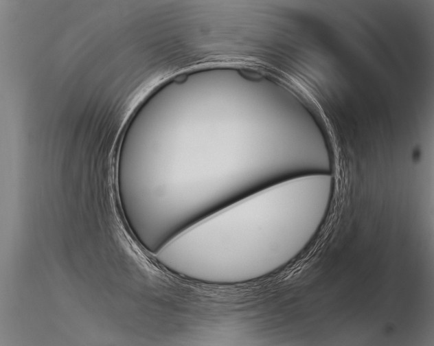 X0000116370907200912021007