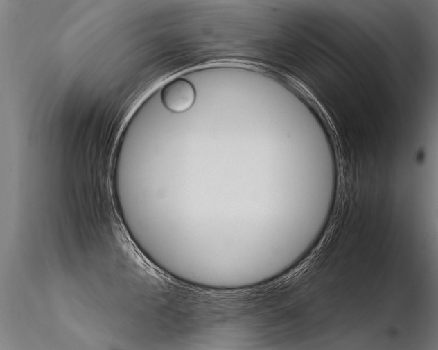 X0000116370908200912021007