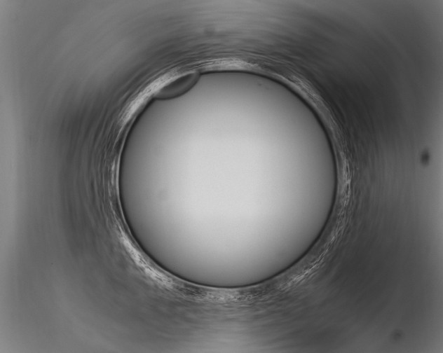 X0000116370909200912021007