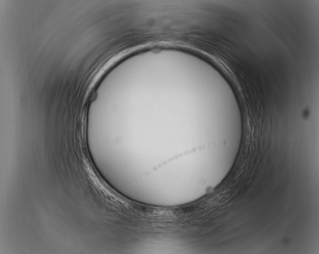 X0000116370911200912021007