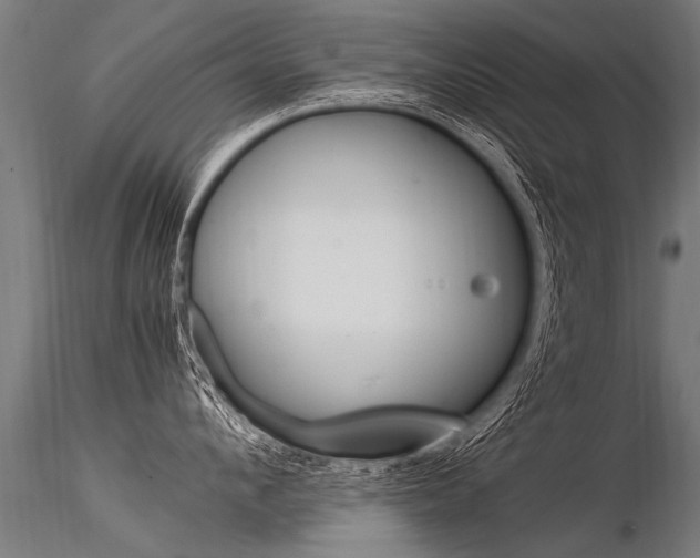 X0000116370912200912021007