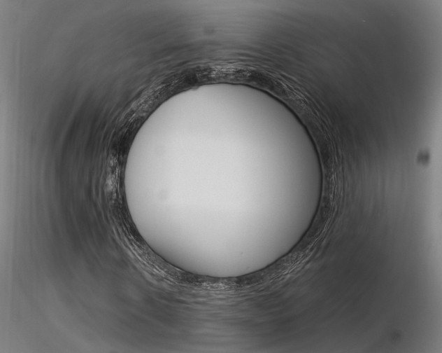 X0000116370914200912021006