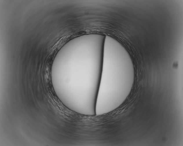 X0000116370915200912021006
