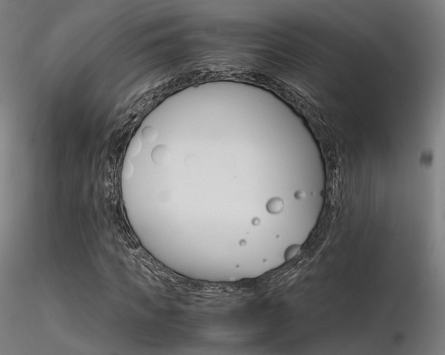 X0000116370917200912021006