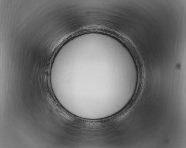 X0000116370921200912021006