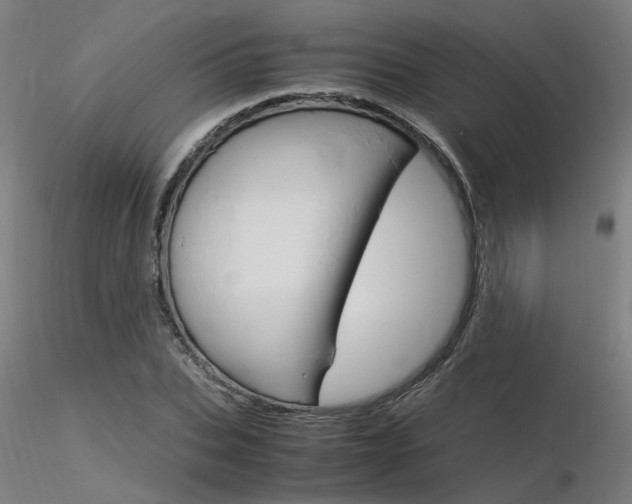 X0000116370927200912021006