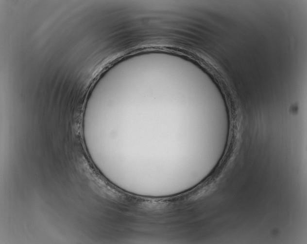 X0000116370929200912021006