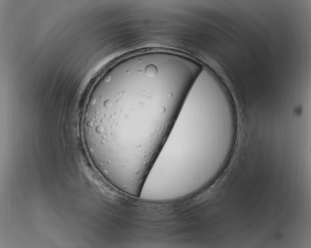 X0000116370931200912021006