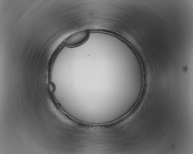 X0000116370934200912021006