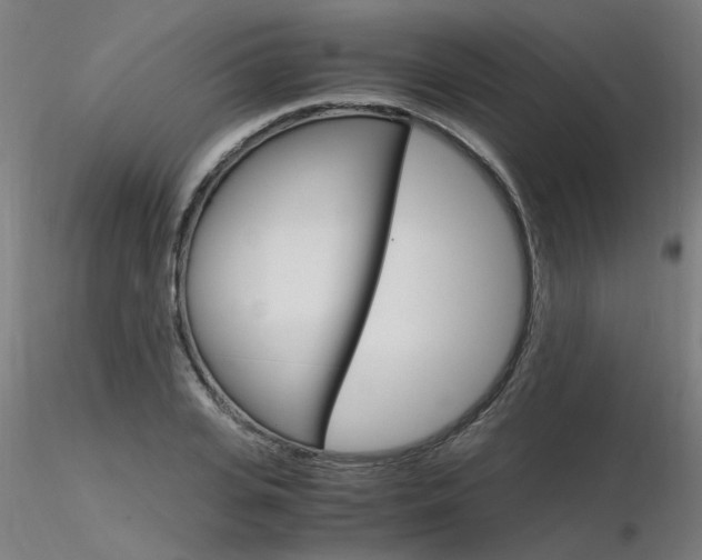 X0000116370935200912021006