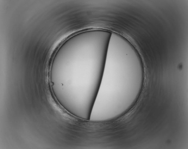 X0000116370939200912021006