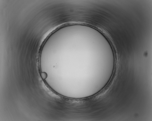 X0000116370941200912021006
