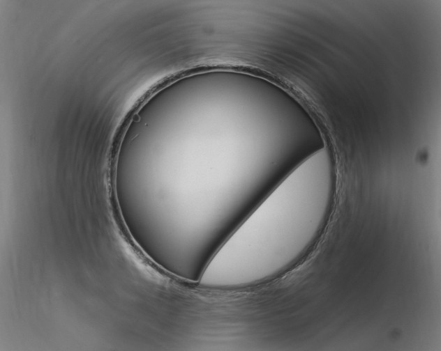 X0000116370942200912021006