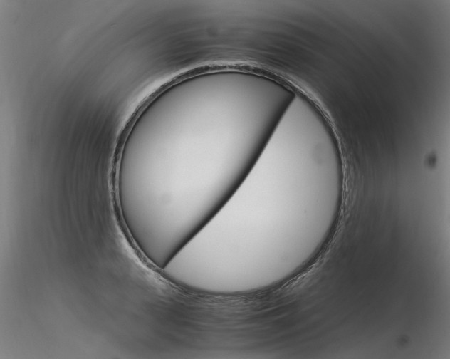 X0000116370943200912021006