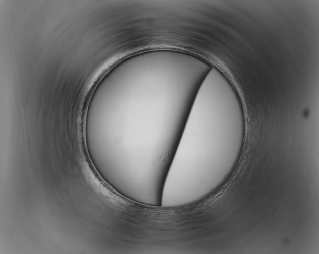 X0000116370947200912021006