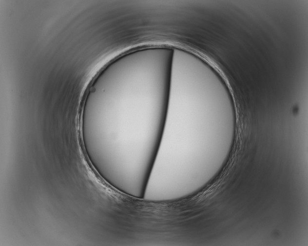 X0000116370951200912021007