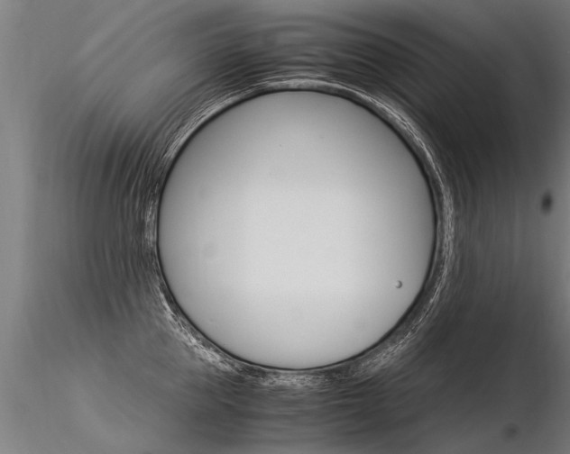 X0000116370953200912021007