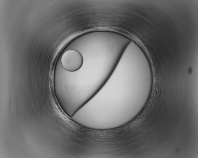 X0000116370955200912021007