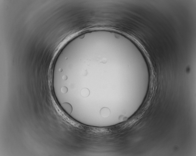 X0000116370957200912021007