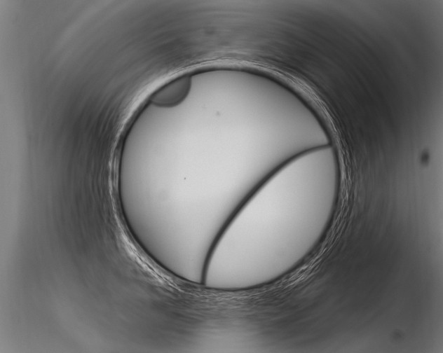 X0000116370958200912021007