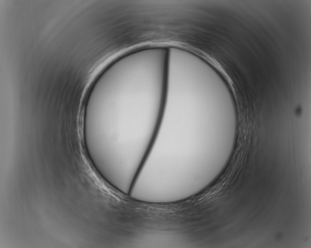 X0000116370959200912021007