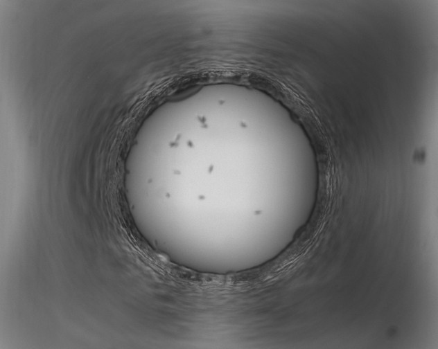 X0000116370961200912021006