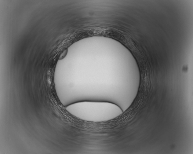 X0000116370962200912021006