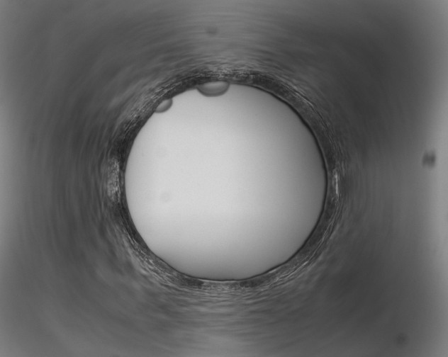 X0000116370963200912021006