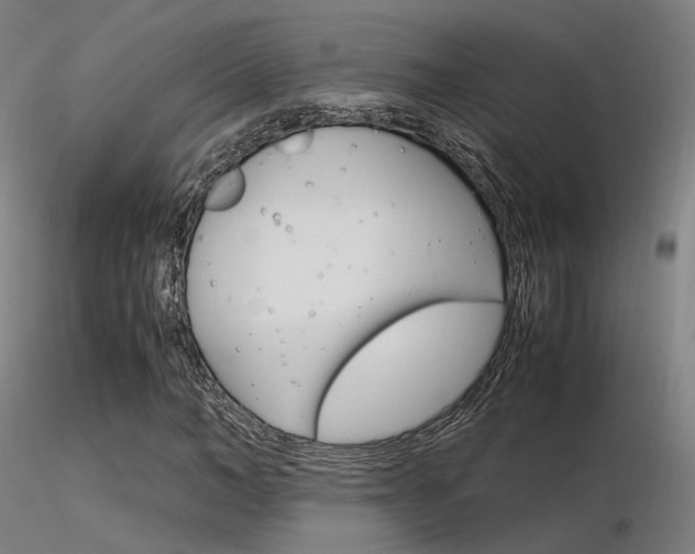 X0000116370966200912021006