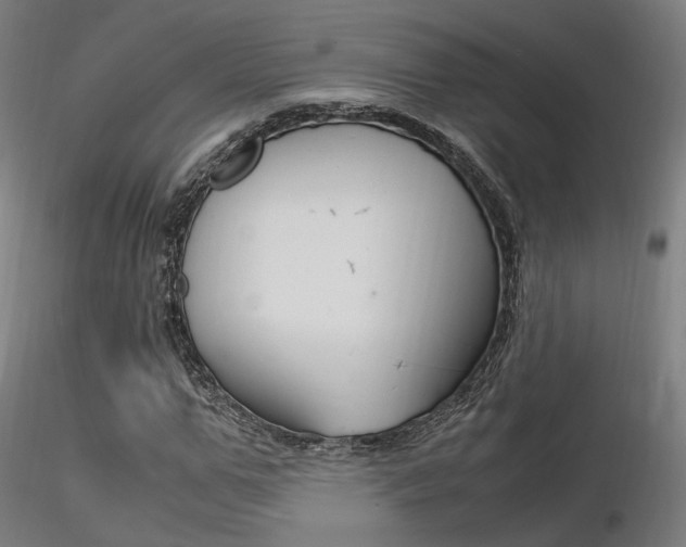 X0000116370967200912021006